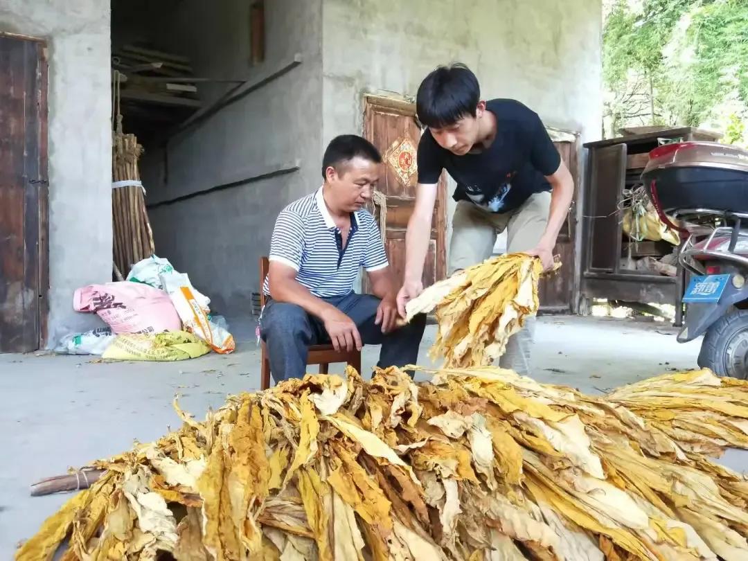 出彩农大人丨植沃土献青春的“农大学子”