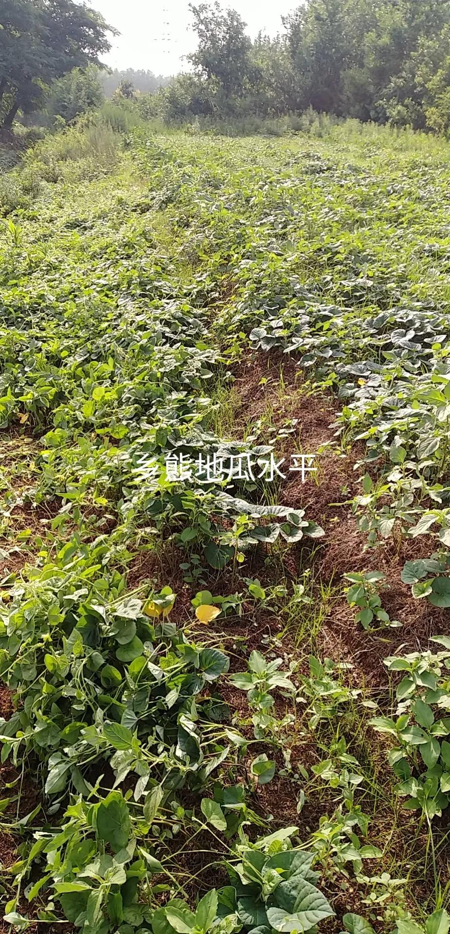 律师执业与律师考试之间的区别