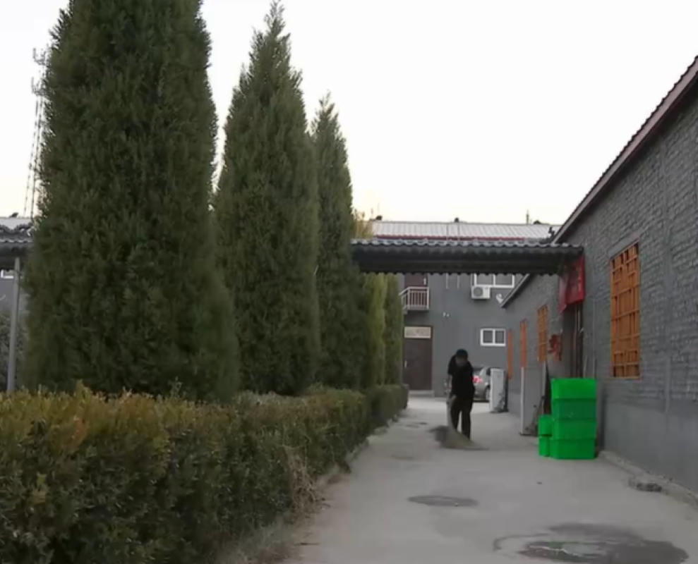 2013年，大哥用10万块创业养公牛，靠着317口大缸，年入2600万