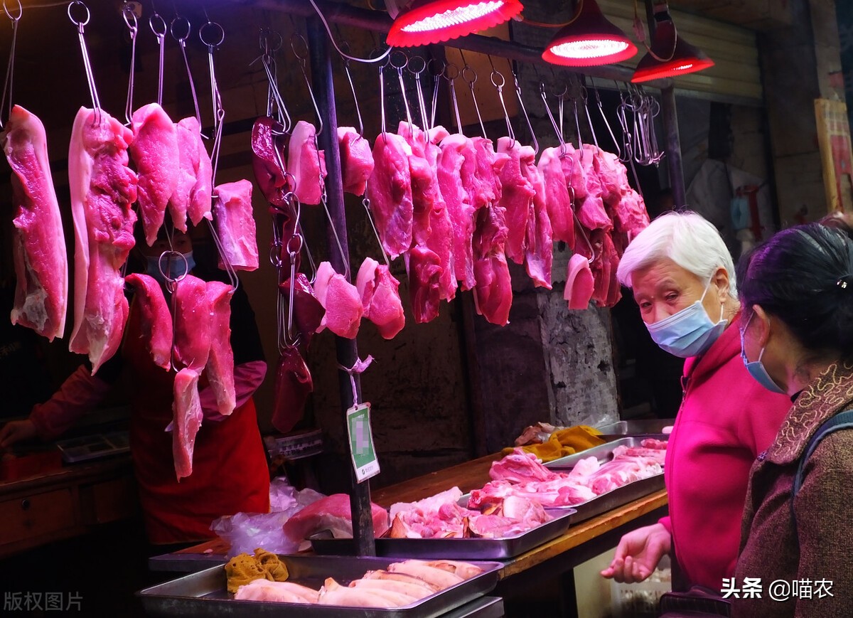 重庆猪价全面上涨