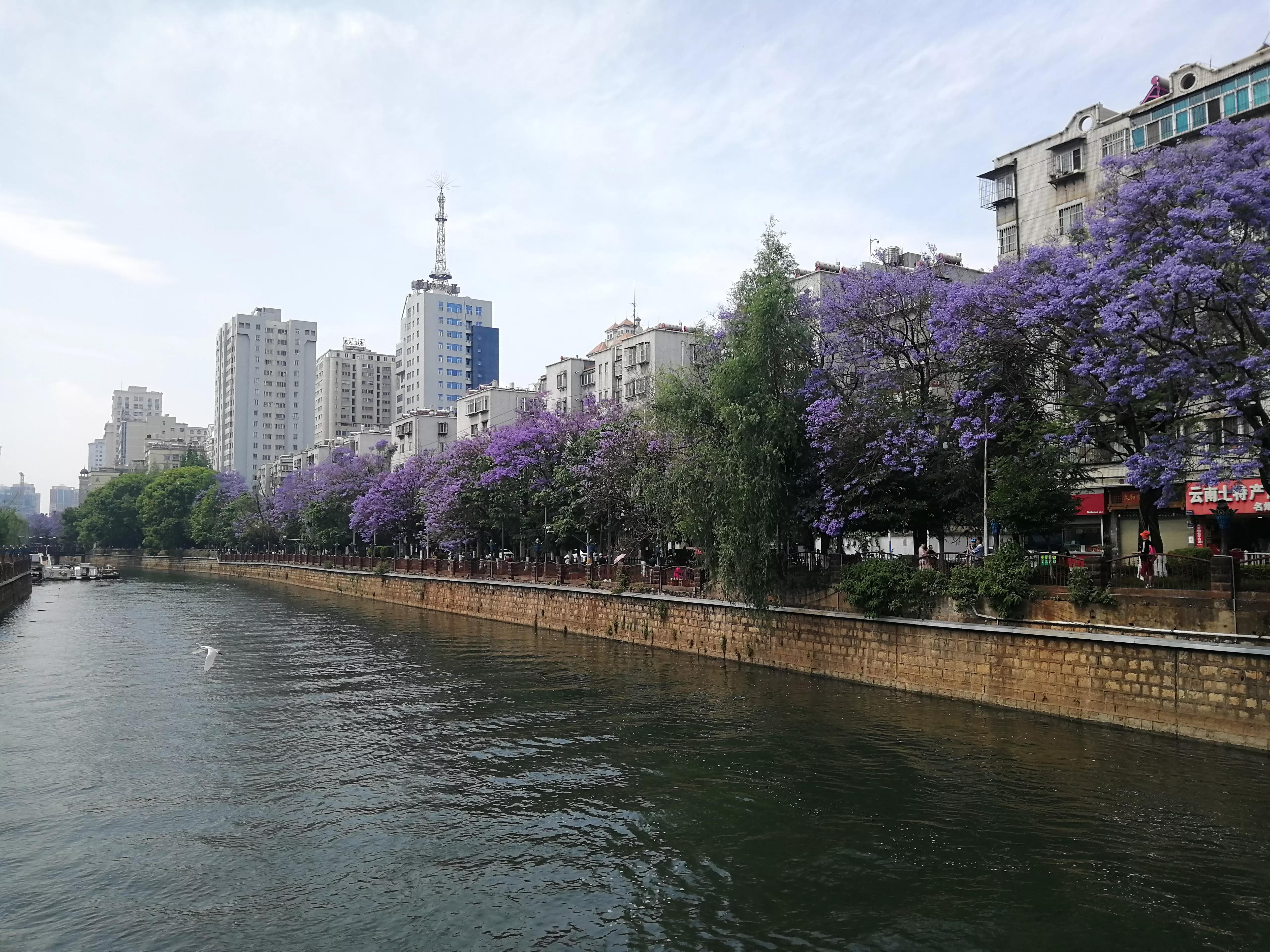 44岁的未婚女律师，征婚遭受打击