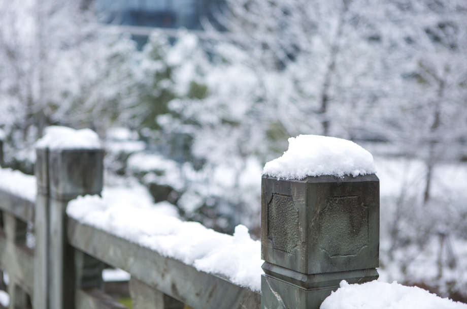 十二首有关雪中的诗词，在最美的雪中，遇见最美的诗意