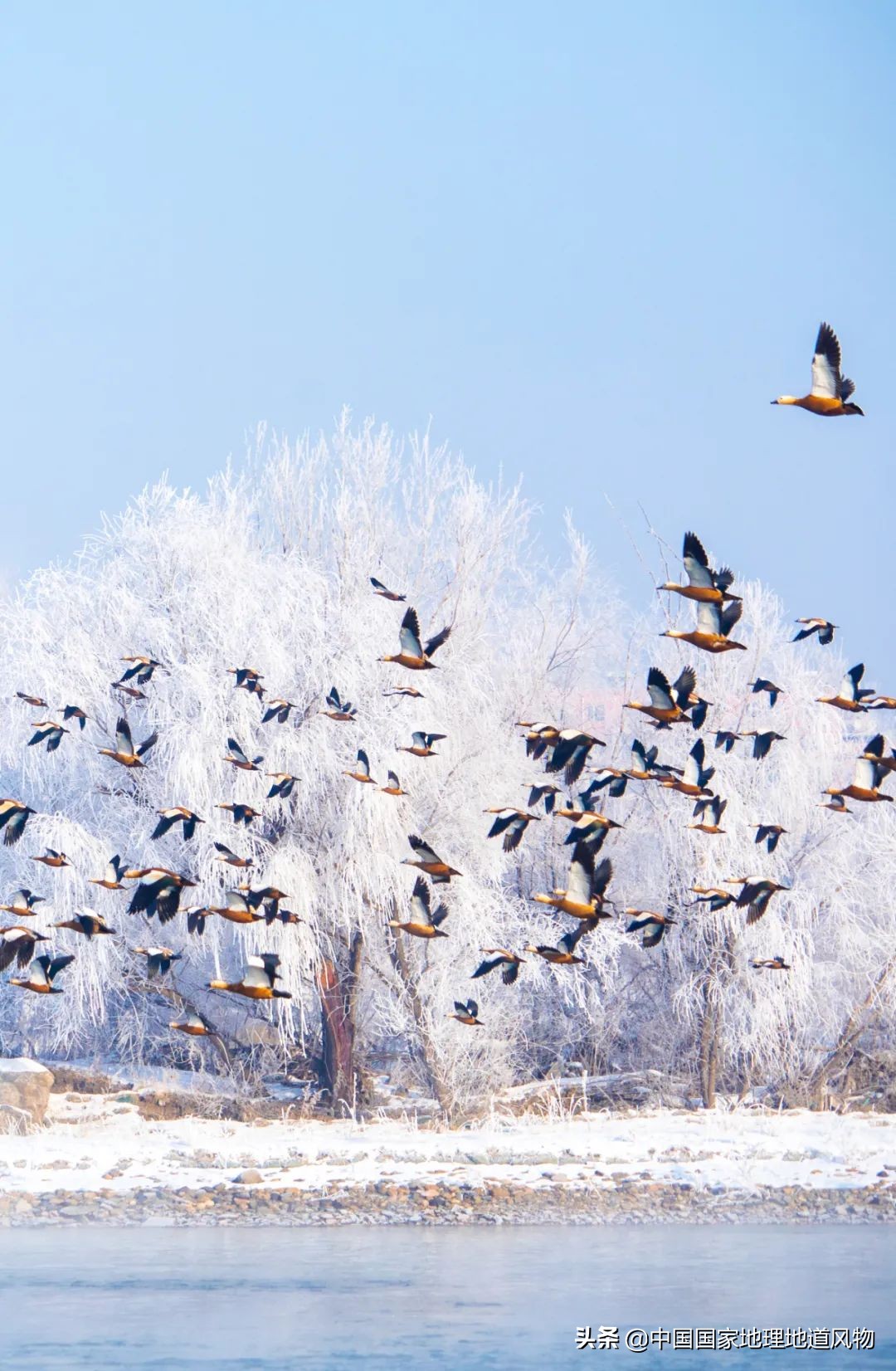 来看看中国人的冰雪世界有多美?