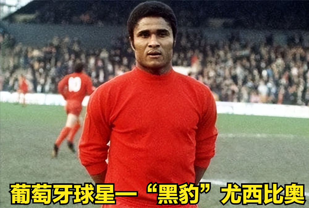 六月二十四晚世界杯(世界杯故事（8）——1966年英格兰世界杯)