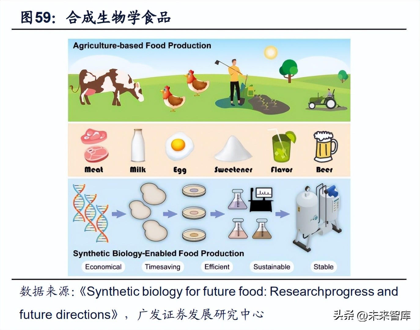 合成生物学行业深度研究：合成生物学创造美好生活