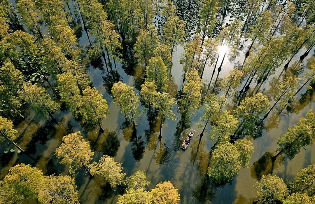 60个好消息！2022，武汉大变样