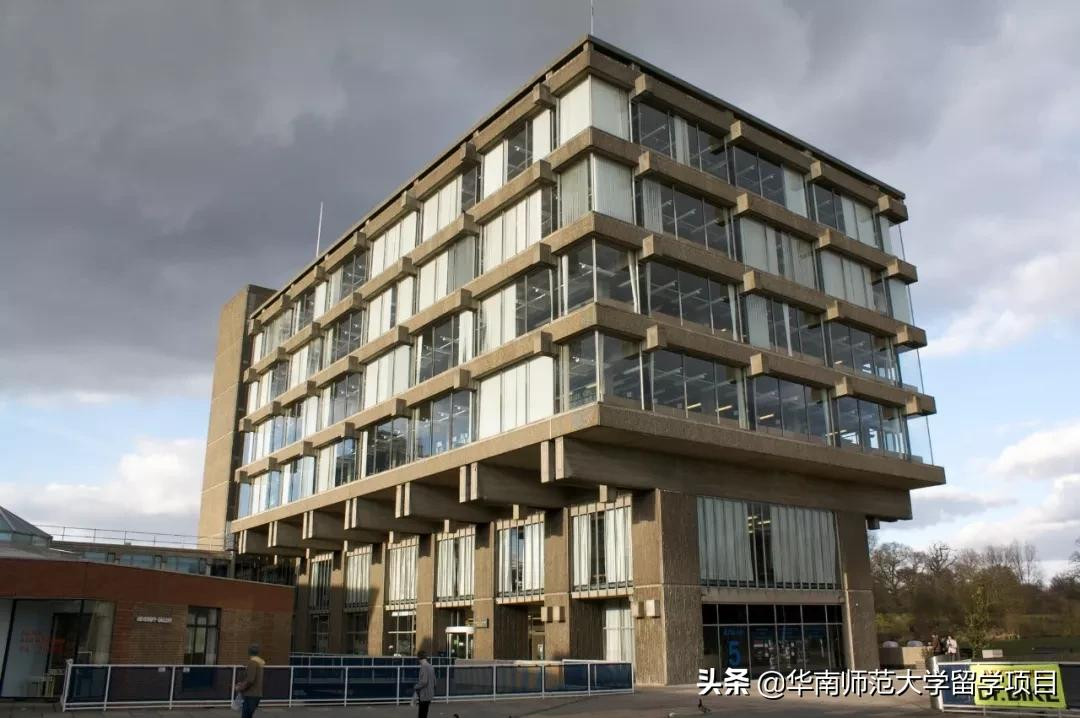 合作高校 | 为什么埃塞克斯大学被称为“小伦敦政经”？