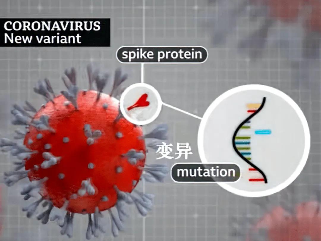 新冠病毒可以在物体表面存活多久呢？我们又该如何应对？