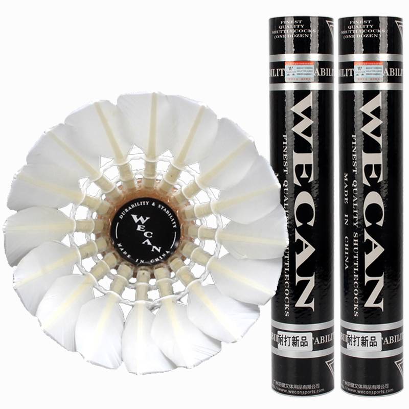 亚狮龙羽毛球几号好（适合学生党和上班族的几款羽毛球）-华海博客