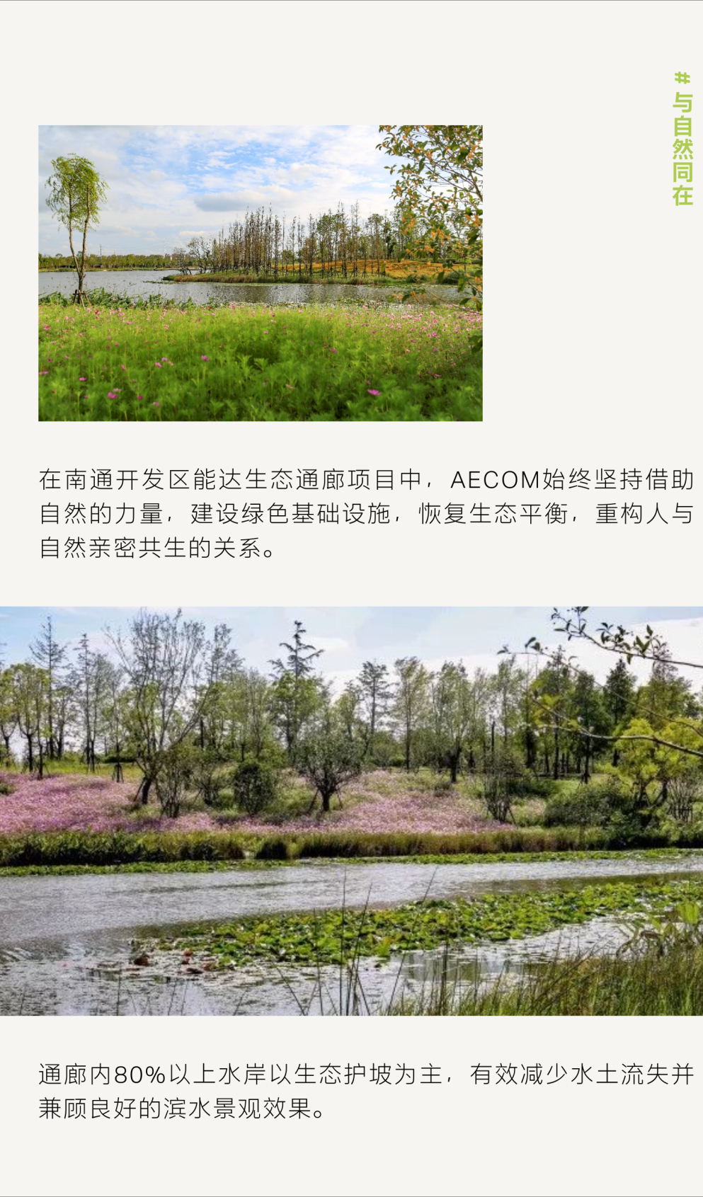 这届AECOM青年有话说