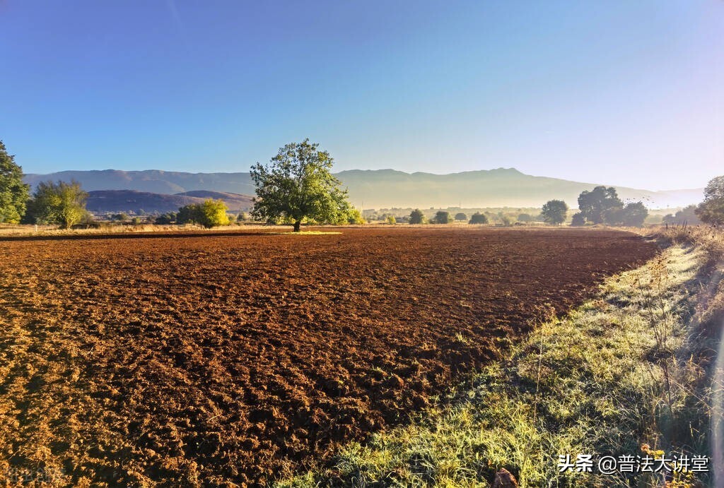 个人企业须知承包农村集体所有制土地的方式、程序及各种法律问题