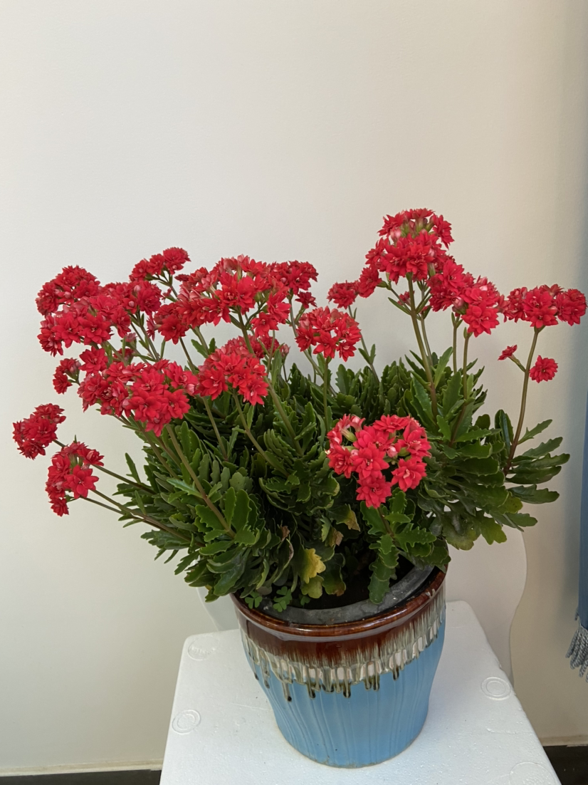 招财风水学 常见的聚财开运方法_达一风水网