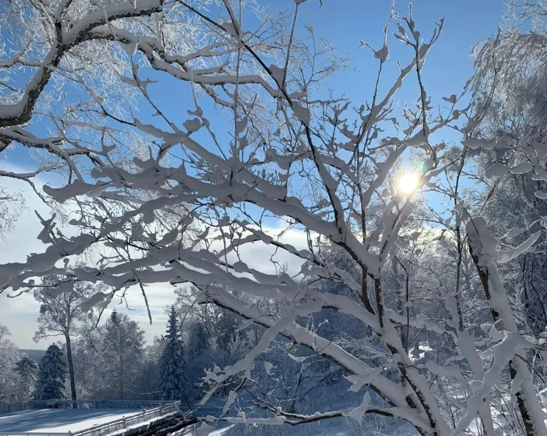 登高眺远景秘境身心愉冬日，来一场任性的雪山游