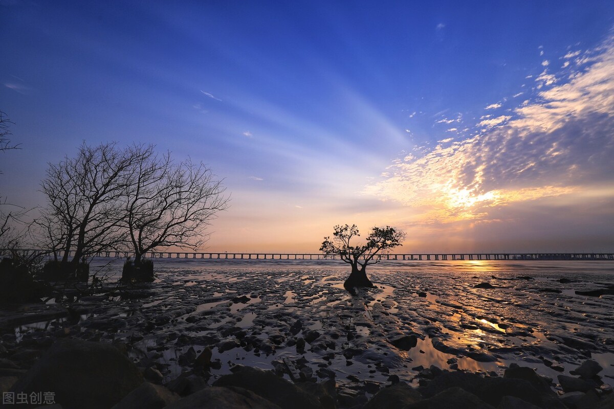 深圳8个免费旅游景点，你去过几个？