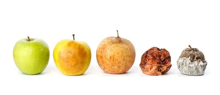 他们说，中国人可以“不吃饭”