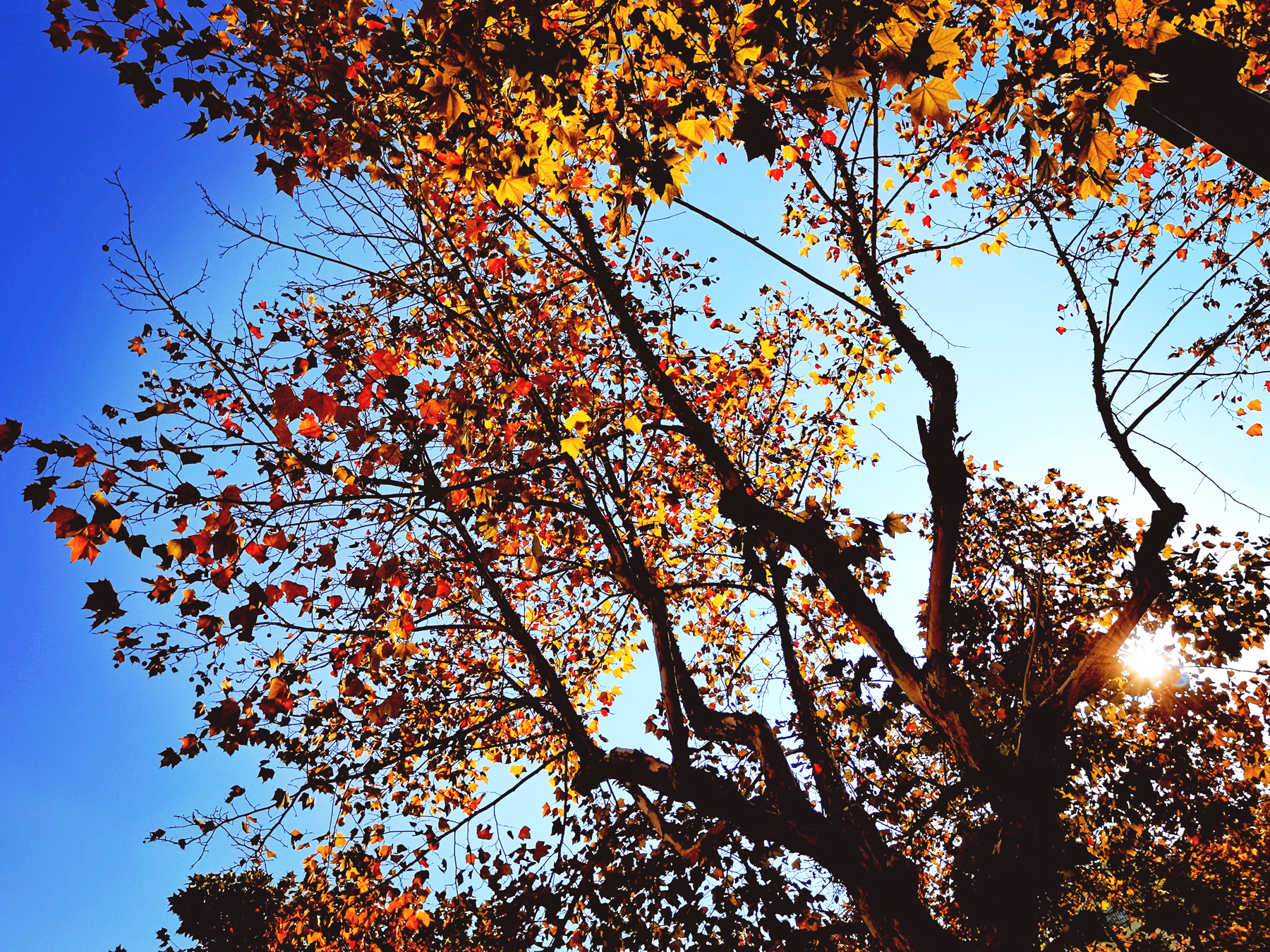 ɵҪＰ(xing)ص㣨ɵ(de)ҪＰԸص¼-15ͼƬ-Ʒ