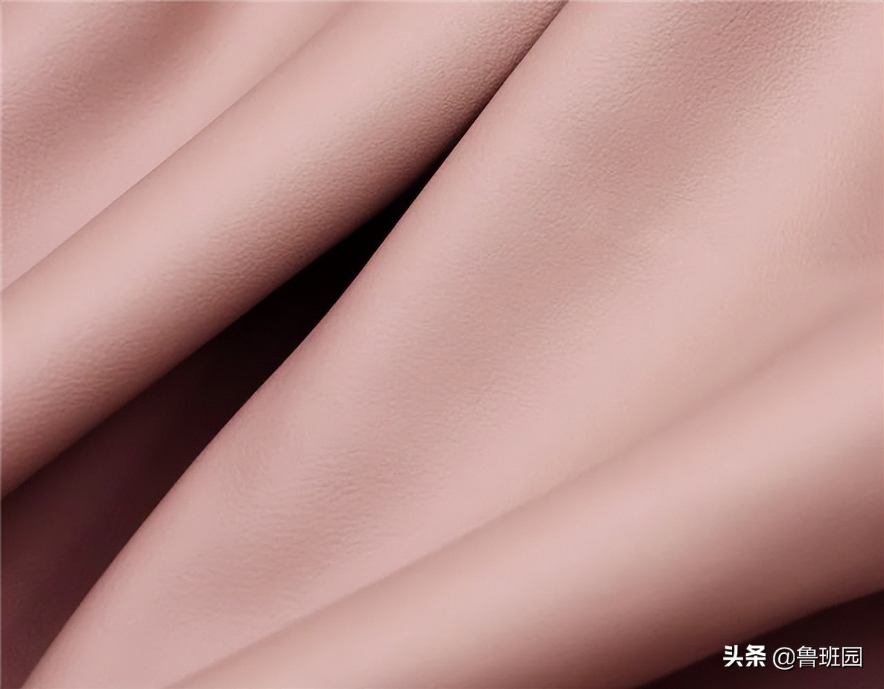 水性皮是什么皮(水性皮图片) - 风集网