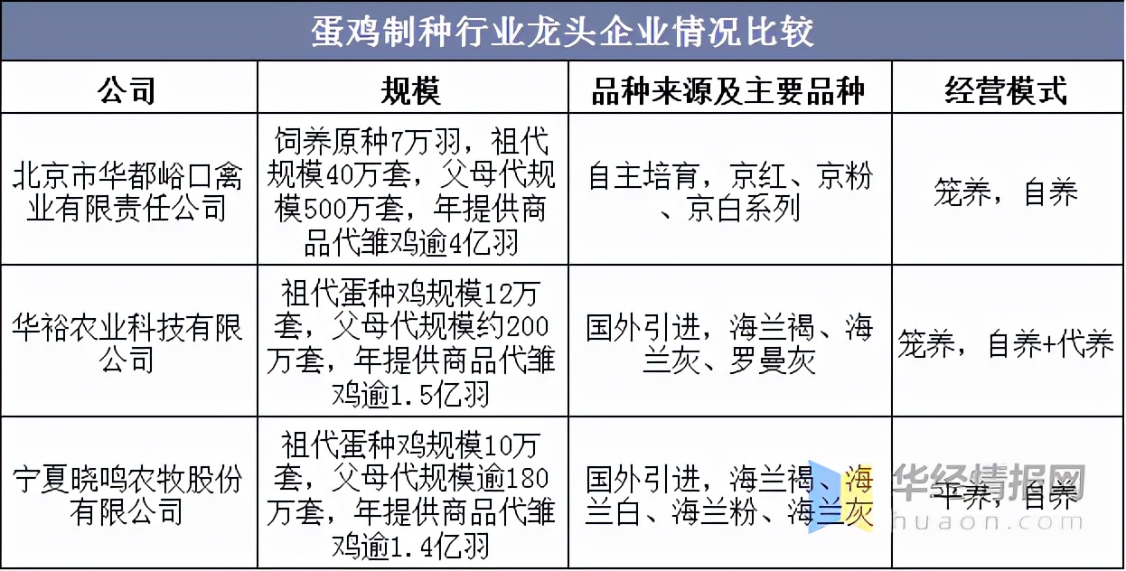 2021年中國蛋雞產(chǎn)業(yè)現(xiàn)狀及發(fā)展趨勢分析，祖代向全國供種富富有余