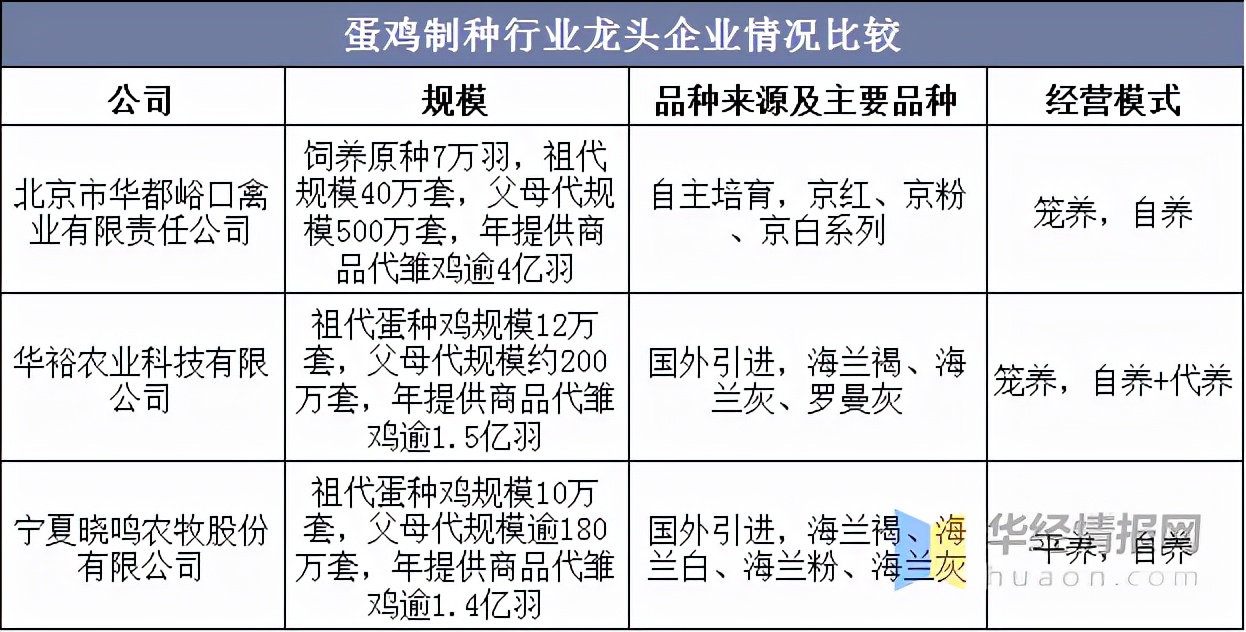 2021年中国蛋鸡产业现状及发展趋势分析，祖代向全国供种富富有余