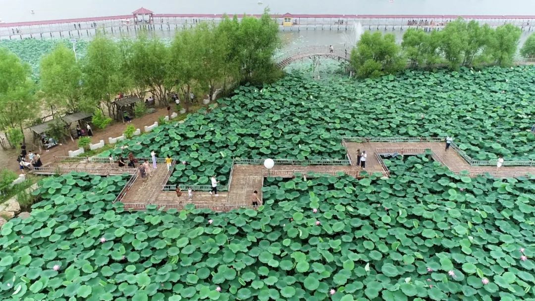 吉林夏天能滑雪吗(吉林各地滑雪场的夏天和冬天一样充满魅力)