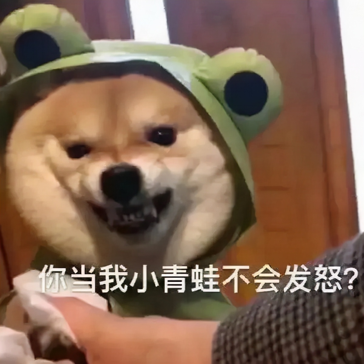 家長警惕！315晚會曝光，小朋友的最愛竟然如此危險