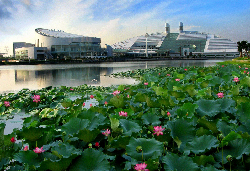 浙江大学校友（隐名校友）