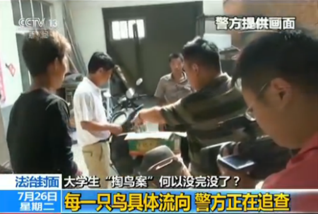 2014年，河南大学生抓16只鸟被判10年，其父喊冤：他只是个孩子