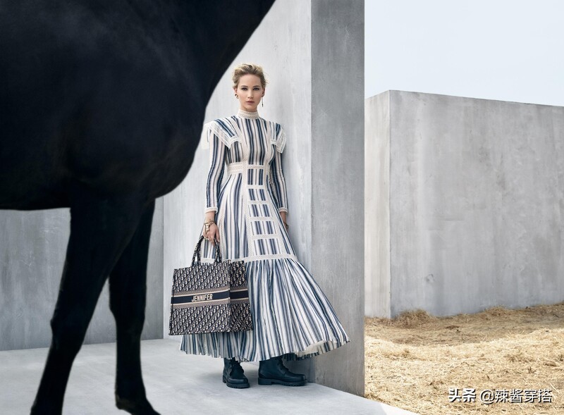 Dior Saddle、Book Tote到最新Micro Bag，一定要认识的5大经典包