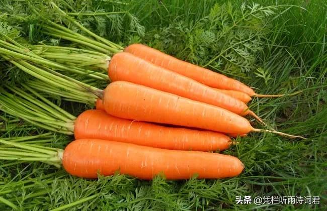 读书点亮心灯，激励前行每一步