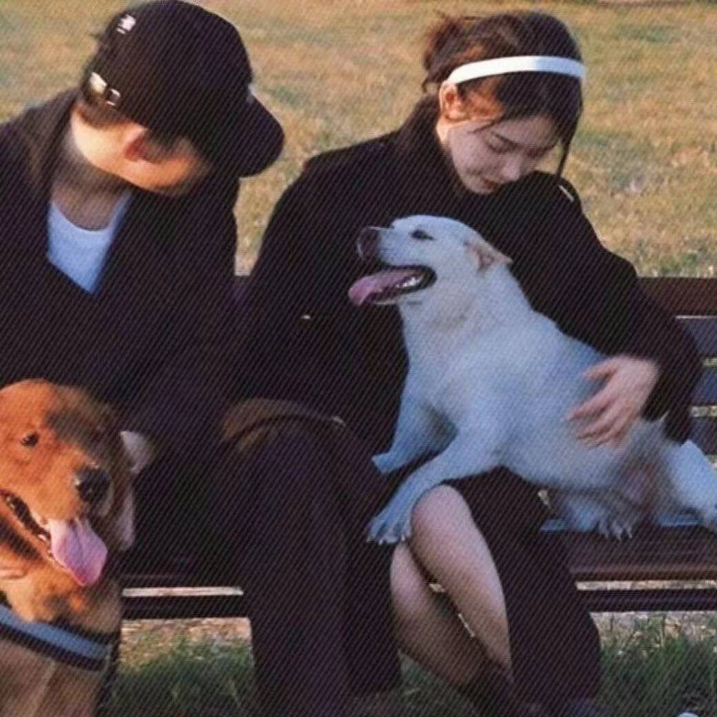 那些美好又凄美的三行情诗