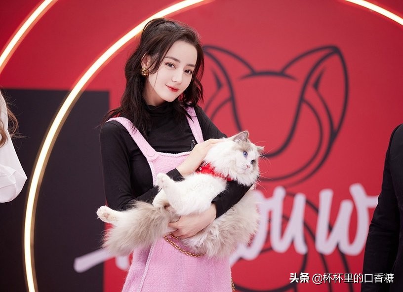 2021明星年度热搜榜！白鹿第九、杨洋第七、热巴第四，龚俊第二