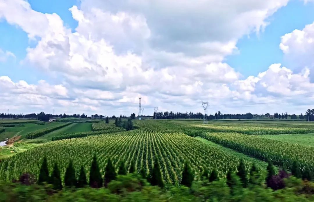 如何打造特色小镇 怎么把人吸引到特色小镇上来