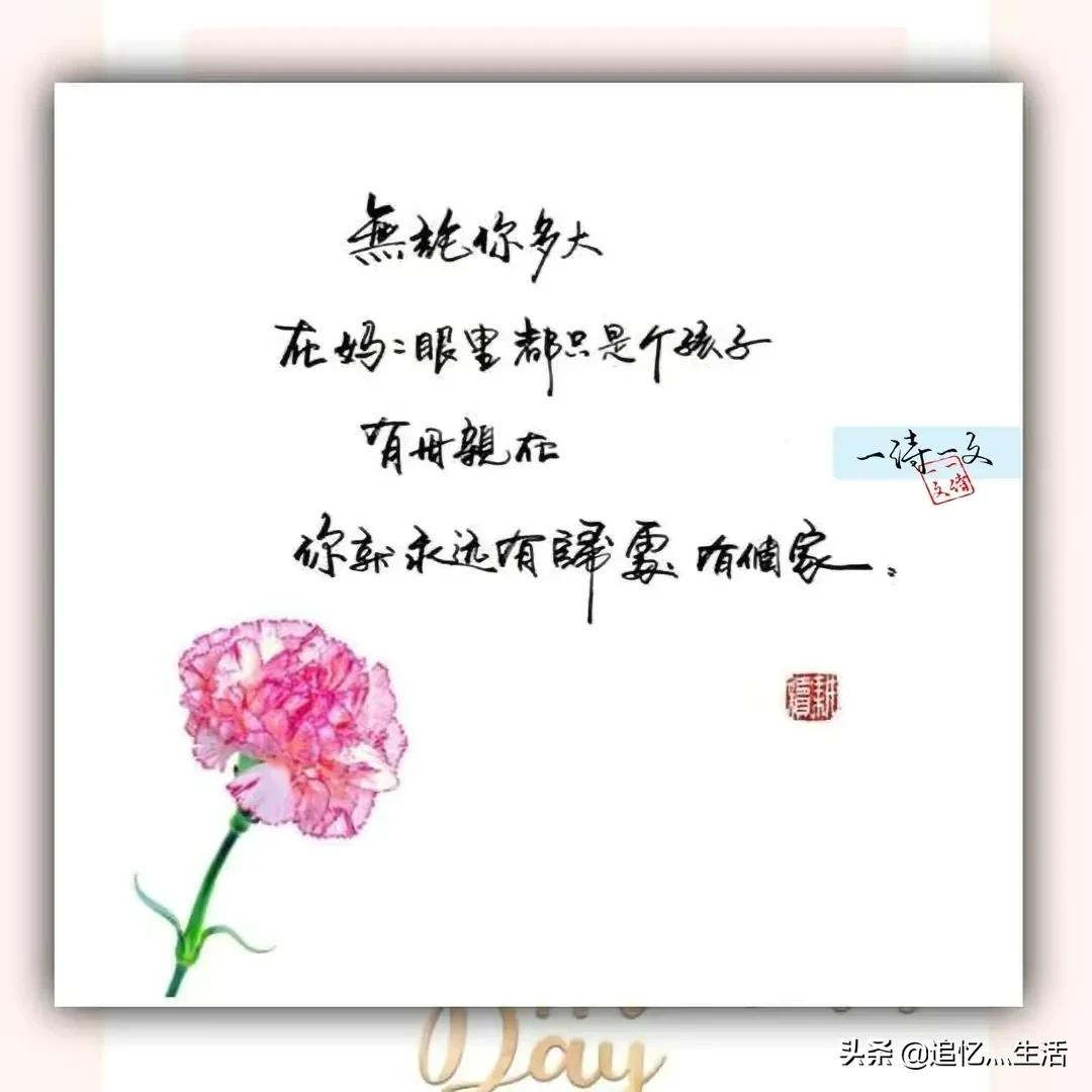 感恩有你：岁月深处最温暖的牵挂