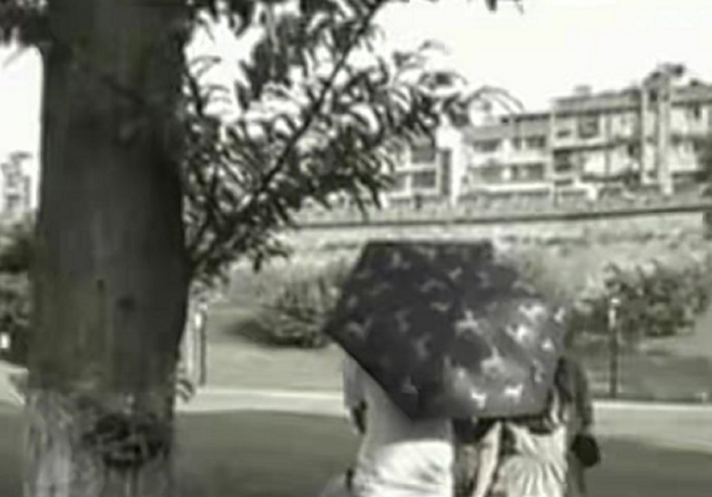 丈夫去世五年后，人口普查员发现异样，妻子：我什么都不知道