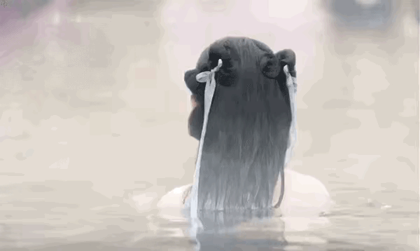 新版《仙剑奇侠传》里的赵灵儿，还原了游戏，但少了灵气？