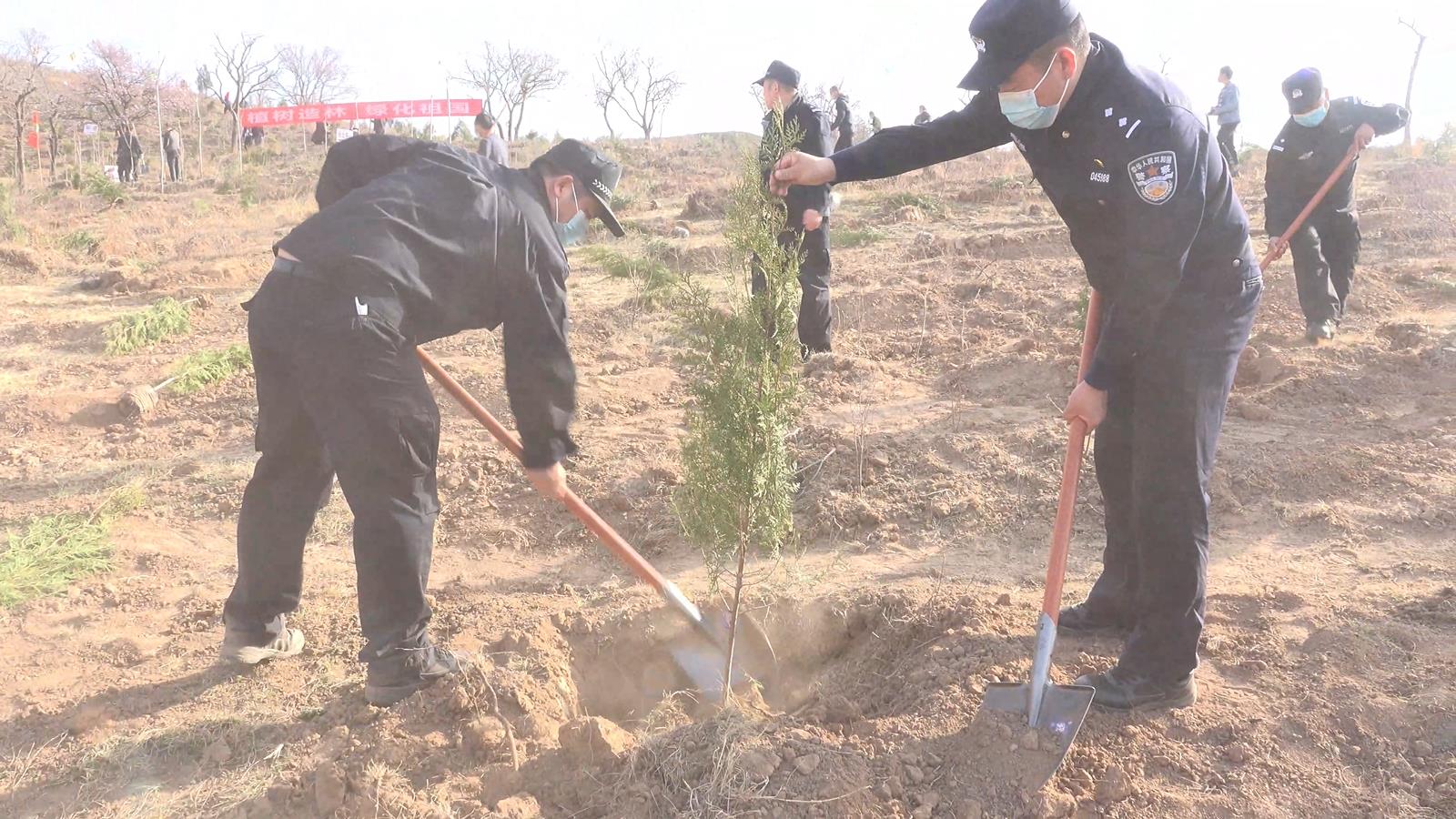 春风十里 植绿走起——蒲城县公安局积极参加义务植树活动（图）