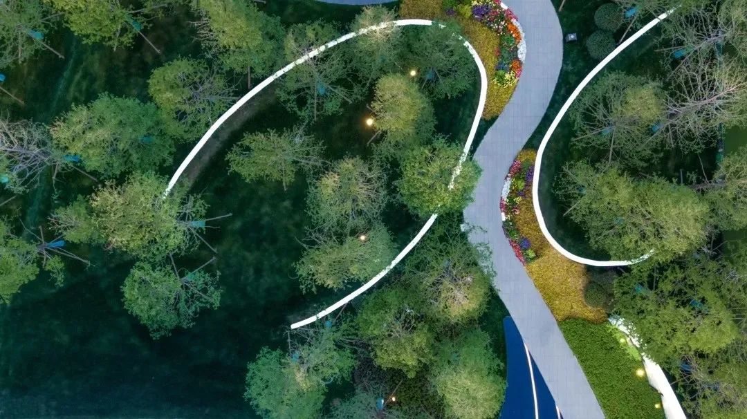 景观设计，“曲线”之美