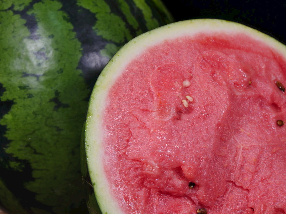 立秋吃西瓜(立秋以后,老人常说"秋瓜坏肚",秋瓜是什么瓜?