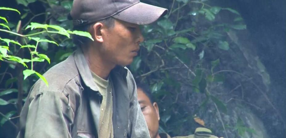 老挝伐木工：百年老树他们随意砍，一棵能卖到32000元