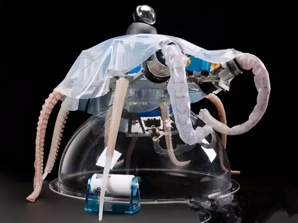 从变形金刚,到仿真"软体",现在的仿生机器人都能长肌肉了?