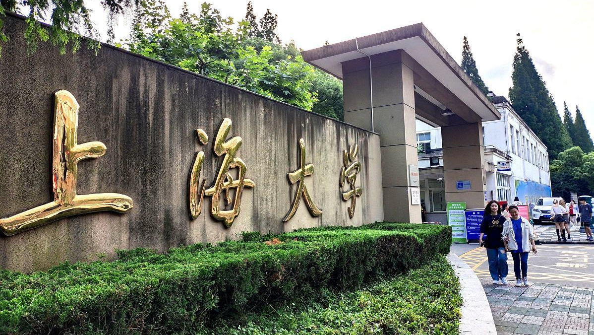 上海大学排行榜（上海大学的排行榜）