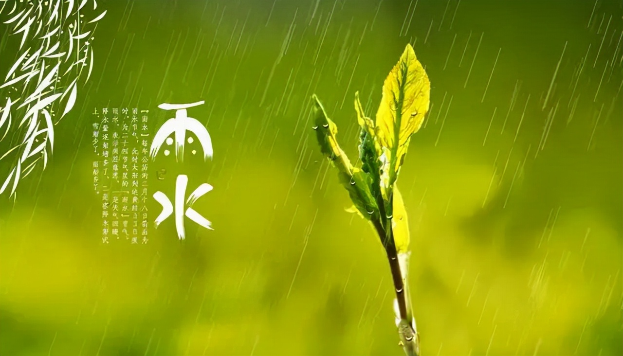 雨水至，萬(wàn)物萌動(dòng)，和八方格一起擁抱春天