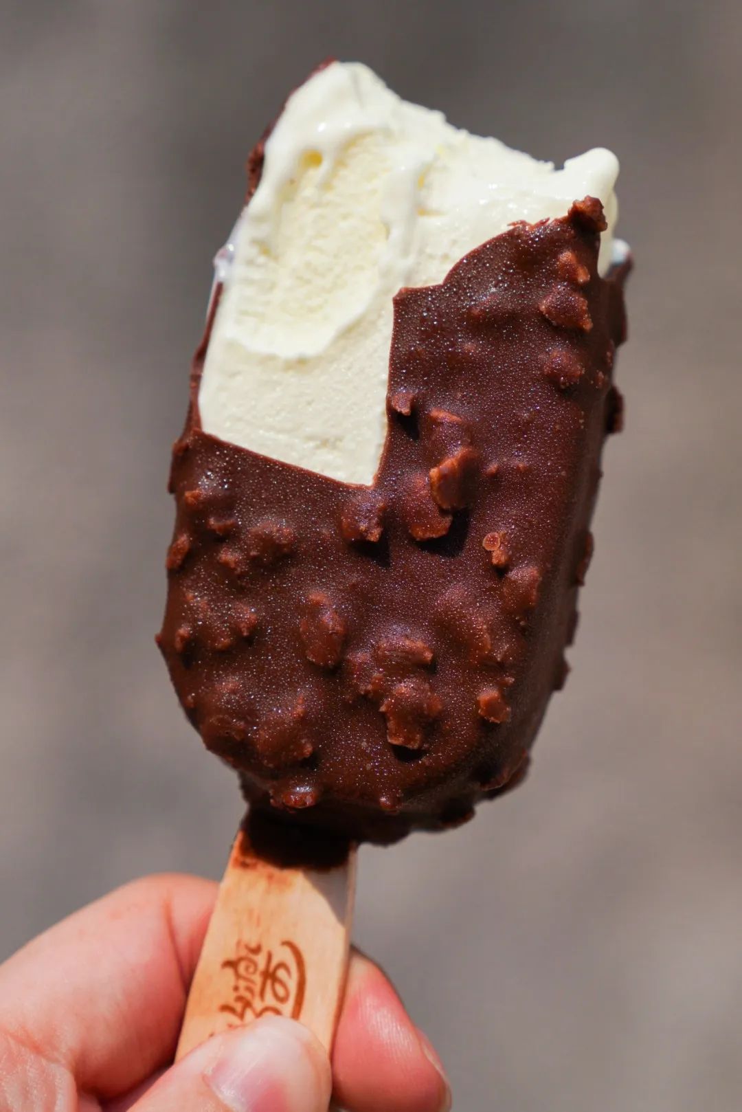 五羊雪糕多少钱（分享正在消失的童年雪糕）(11)