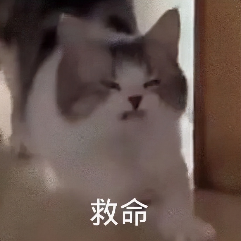 像我一样不是勤快的人，家里7处照这样装，省钱同时家务活减一半