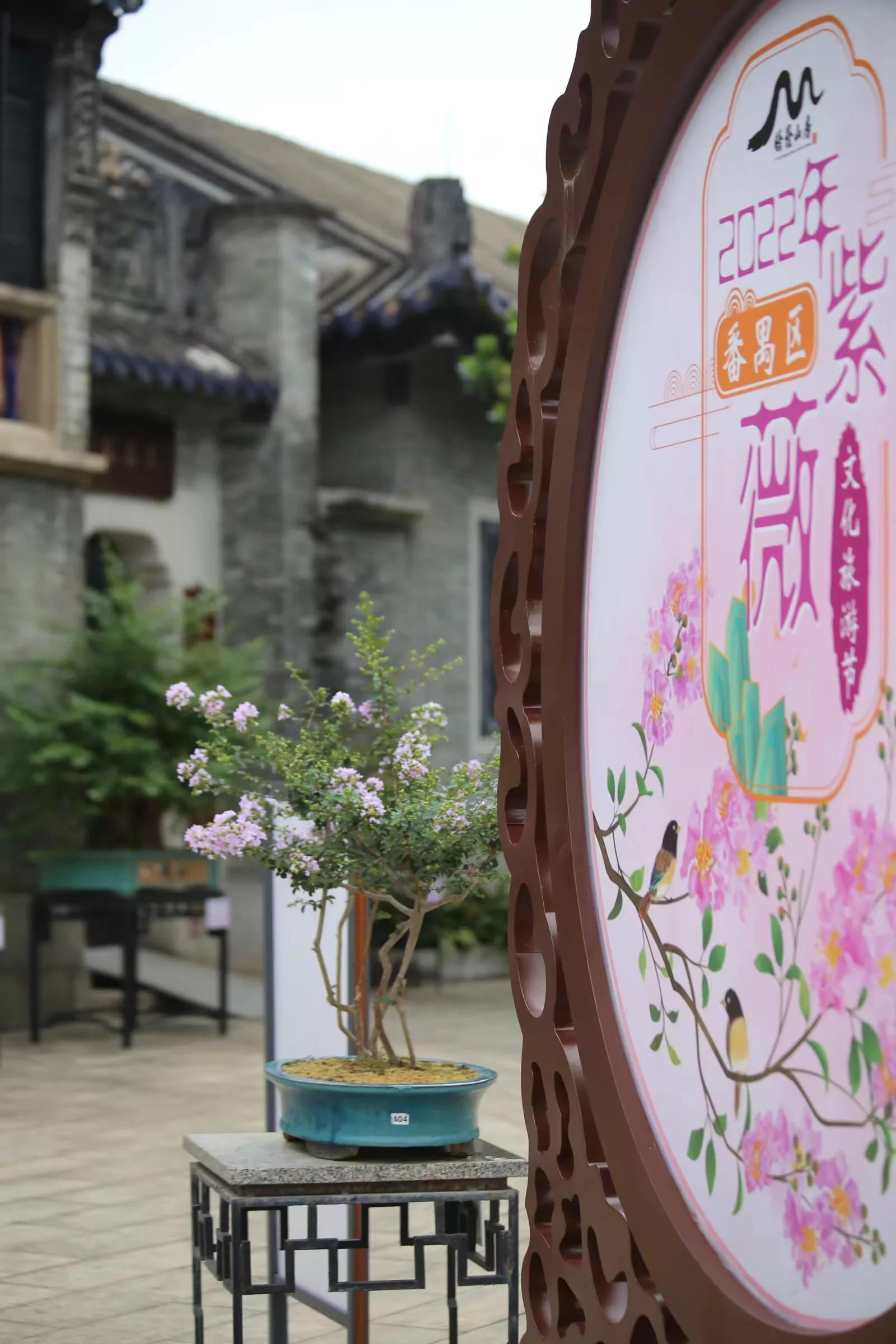 余荫山房•紫薇