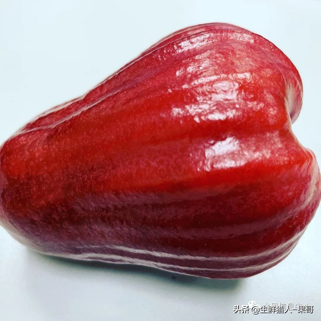 释迦莲雾夫妻果泰国(「莲雾图鉴」黑珍珠,巴掌,黑金刚,黑糖芭比,蜜