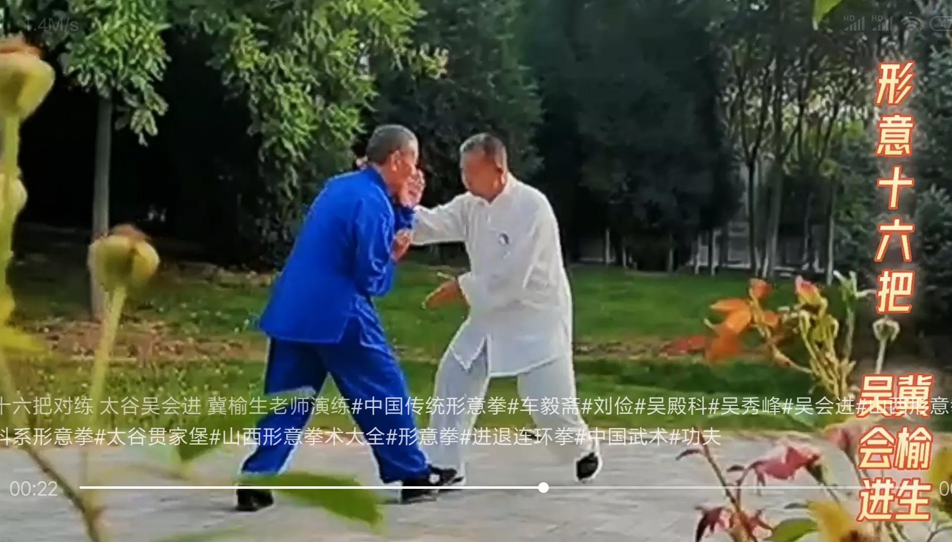 武术套路图片动作(「吴殿科系形意拳」形意拳对练套路“十六把”与拘马拚)