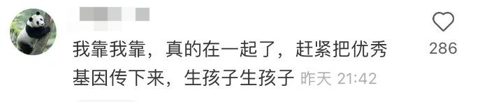 初恋的门是什么？杨斌一目了然地爱孙爱玲，姜是出乎意料的吗？