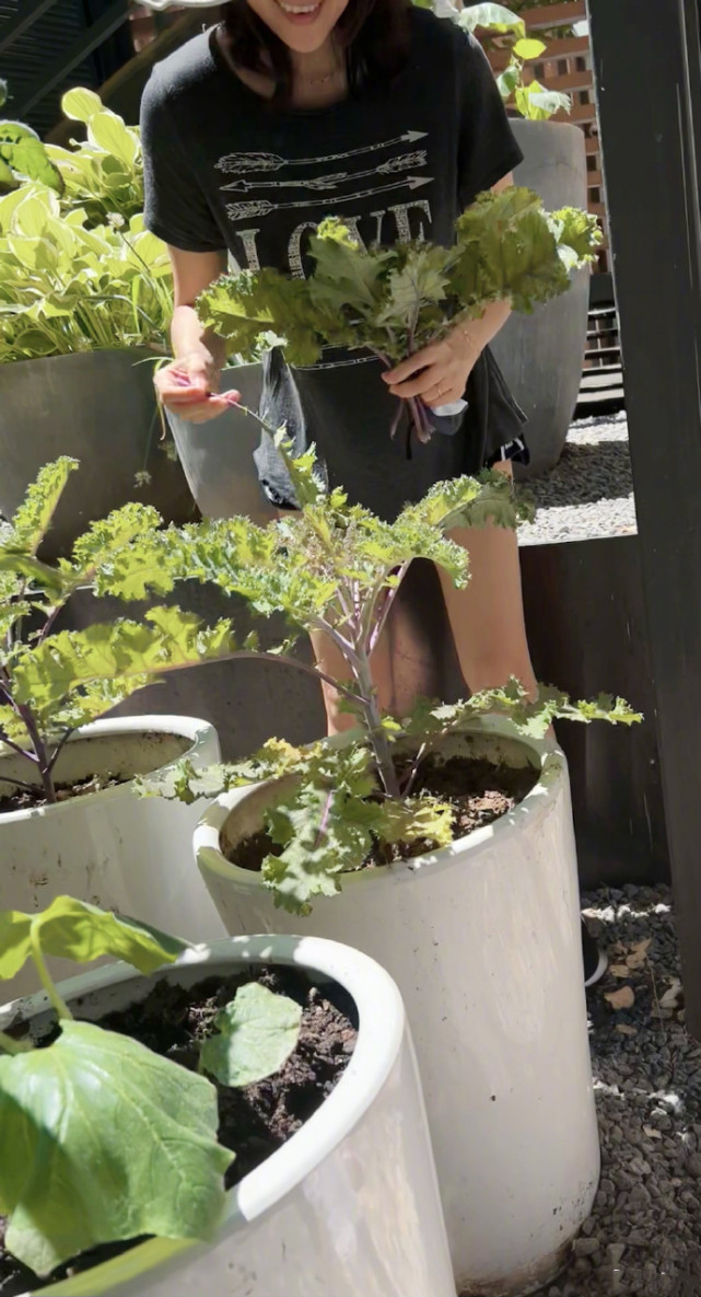 章子怡晒儿女种菜，醒醒晒黑弟弟长高，汪峰视角下子怡素颜罕曝光