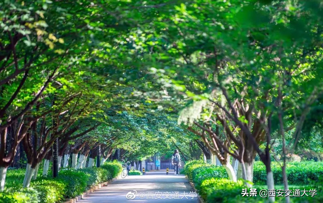 高考必胜，圆梦今夏！我们在交大等你